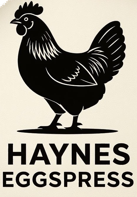 Haynes Eggspress